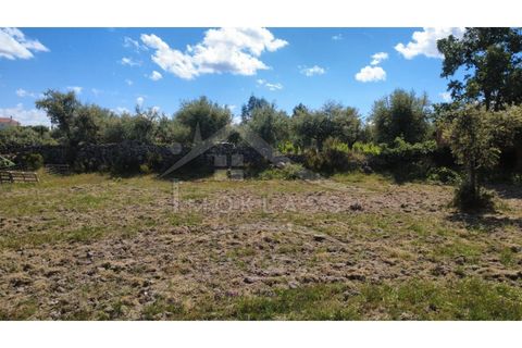 Terra a Alcains, Castelo Branco, Alcains - € 75.000 | Ref: TER_195 - foto 41