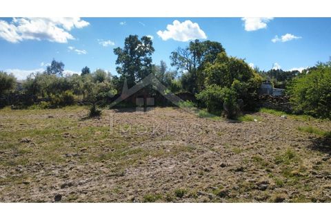 Terra a Alcains, Castelo Branco, Alcains - € 75.000 | Ref: TER_195 - foto 44