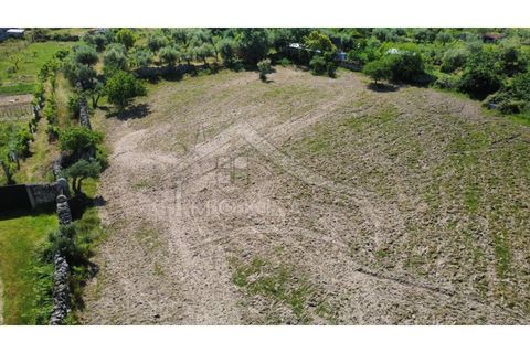 Terra a Alcains, Castelo Branco, Alcains - € 75.000 | Ref: TER_195 - foto 45