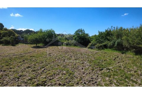 Terra a Alcains, Castelo Branco, Alcains - € 75.000 | Ref: TER_195 - foto 48