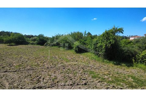 Terra a Alcains, Castelo Branco, Alcains - € 75.000 | Ref: TER_195 - foto 50