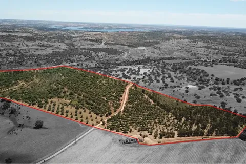 Helårsgrund i Ourique, Beja, Ourique - € 289.000 | Ref: C0240-03629 - foto 1