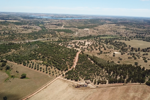 Helårsgrund i Ourique, Beja, Ourique - € 289.000 | Ref: C0240-03629 - foto 2