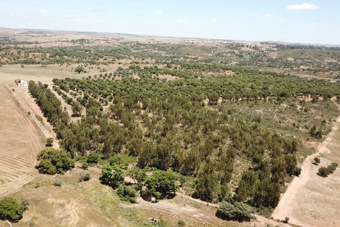 Helårsgrund i Ourique, Beja, Ourique - € 289.000 | Ref: C0240-03629 - foto 4