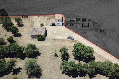 Helårsgrund i Ourique, Beja, Ourique - € 289.000 | Ref: C0240-03629 - foto 5