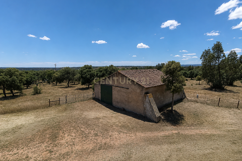 Helårsgrund i Ourique, Beja, Ourique - € 289.000 | Ref: C0240-03629 - foto 16