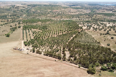 Helårsgrund i Ourique, Beja, Ourique - € 289.000 | Ref: C0240-03629 - foto 20