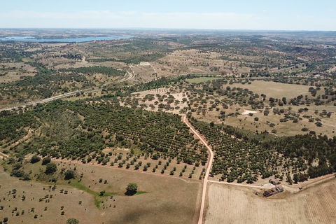Helårsgrund i Ourique, Beja, Ourique - € 289.000 | Ref: C0240-03629 - foto 22