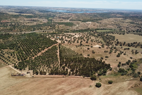 Helårsgrund i Ourique, Beja, Ourique - € 289.000 | Ref: C0240-03629 - foto 23