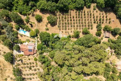 Villa in Flayosc, Var, Flayosc - € 795.000 | Ref: 87017070 - foto 29