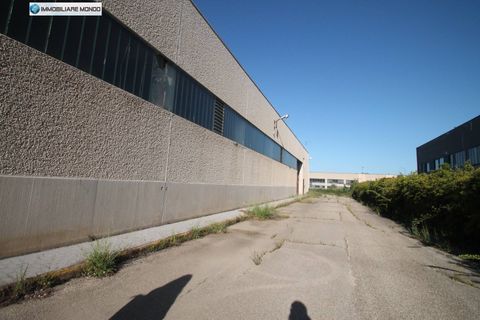 L'establiment comercial a Termoli, Campobasso, Termoli - € 7.000/mes | Ref: F718 - foto 11