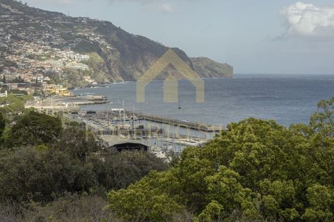 Lejlighed i Se, Madeira, Se - € 1.100.000 | Ref: APA_99 - foto 3