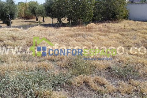 Helårsgrund i Castelo Branco, Castelo Branco, Castelo Branco - € 80.000 | Ref: 19131 - foto 1