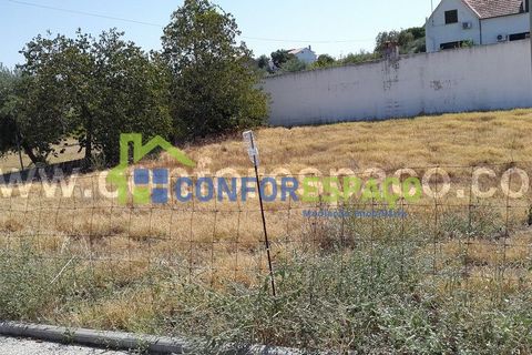 Helårsgrund i Castelo Branco, Castelo Branco, Castelo Branco - € 80.000 | Ref: 19131 - foto 2