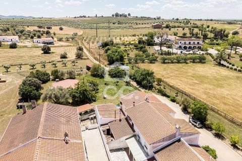 Villa a Moura, Beja, Moura - € 240.000 | Ref: 318/M/03833 - foto 36
