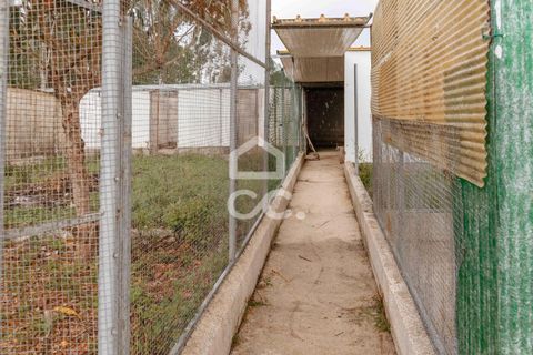 Villa i Soure, Coimbra, Soure - € 355.000 | Ref: 385/M/01035 - foto 29