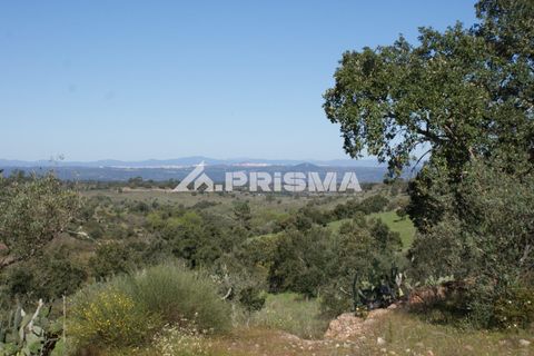 Helårsgrund i Castelo Branco, Castelo Branco, Castelo Branco - € 27.000 | Ref: PP4756 - foto 22