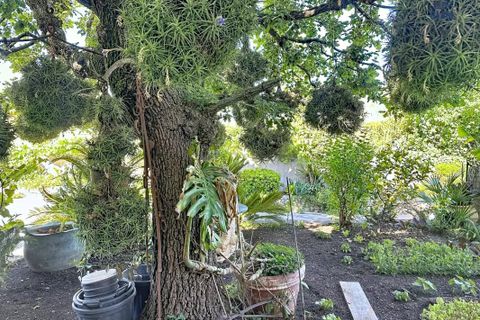 Villa i Biot, Alpes-Maritimes, Biot - € 950 000 | Ref: getkey_u_529204793 - foto 30