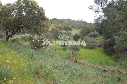 Helårsgrund i Castelo Branco, Castelo Branco, Castelo Branco - € 37.500 | Ref: PP4755 - foto 1