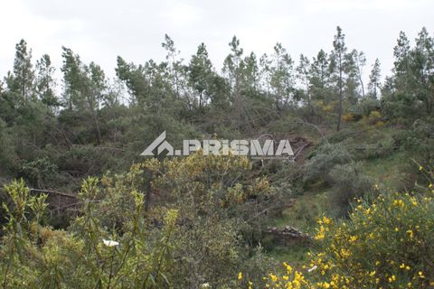 Helårsgrund i Castelo Branco, Castelo Branco, Castelo Branco - € 37.500 | Ref: PP4755 - foto 8