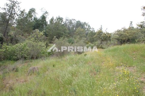 Helårsgrund i Castelo Branco, Castelo Branco, Castelo Branco - € 37.500 | Ref: PP4755 - foto 14