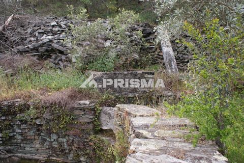 Helårsgrund i Castelo Branco, Castelo Branco, Castelo Branco - € 37.500 | Ref: PP4755 - foto 16
