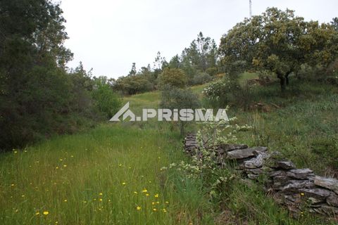 Helårsgrund i Castelo Branco, Castelo Branco, Castelo Branco - € 37.500 | Ref: PP4755 - foto 18
