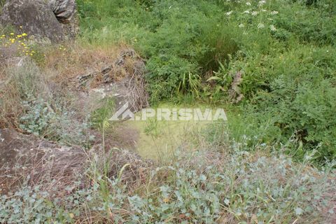 Helårsgrund i Castelo Branco, Castelo Branco, Castelo Branco - € 37.500 | Ref: PP4755 - foto 21