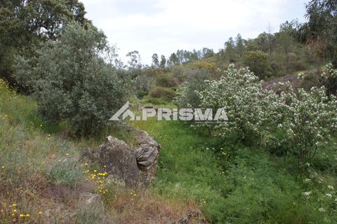 Helårsgrund i Castelo Branco, Castelo Branco, Castelo Branco - € 37.500 | Ref: PP4755 - foto 22