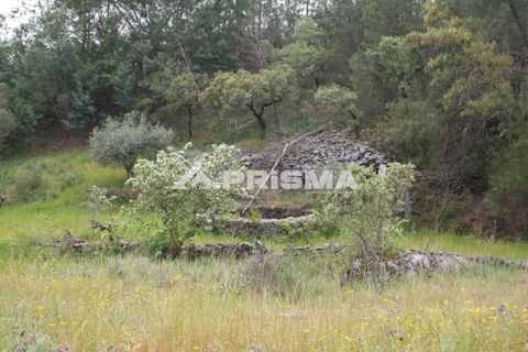 Helårsgrund i Castelo Branco, Castelo Branco, Castelo Branco - € 37.500 | Ref: PP4755 - foto 24