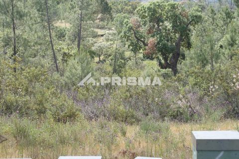 Helårsgrund i Castelo Branco, Castelo Branco, Castelo Branco - € 33.000 | Ref: PP4731 - foto 2