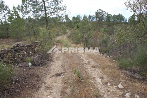 Helårsgrund i Castelo Branco, Castelo Branco, Castelo Branco - € 33.000 | Ref: PP4731 - foto 15
