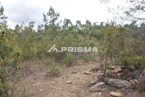 Helårsgrund i Castelo Branco, Castelo Branco, Castelo Branco - € 33.000 | Ref: PP4731 - foto 16