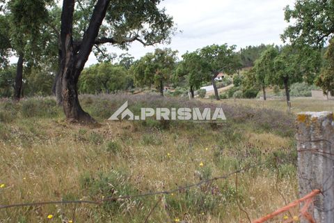 Terreno en Castelo Branco, Castelo Branco, Castelo Branco - € 33.000 | Ref: PP4731 - photo 2