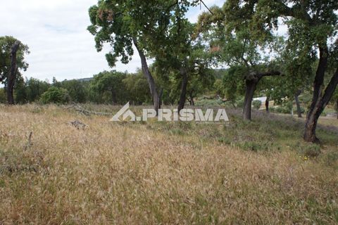 Terreno en Castelo Branco, Castelo Branco, Castelo Branco - € 33.000 | Ref: PP4731 - photo 4