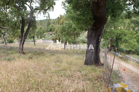 Terreno en Castelo Branco, Castelo Branco, Castelo Branco - € 33.000 | Ref: PP4731 - photo 6