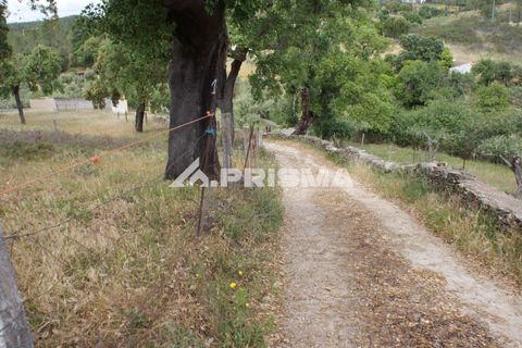 Terreno en Castelo Branco, Castelo Branco, Castelo Branco - € 33.000 | Ref: PP4731 - photo 7
