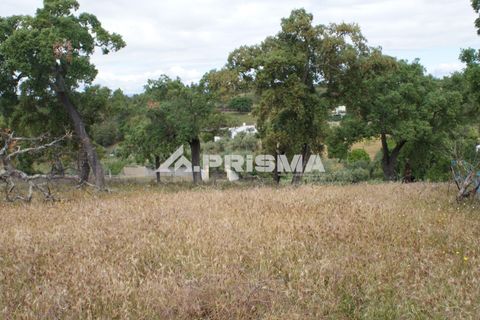 Terreno en Castelo Branco, Castelo Branco, Castelo Branco - € 33.000 | Ref: PP4731 - photo 9