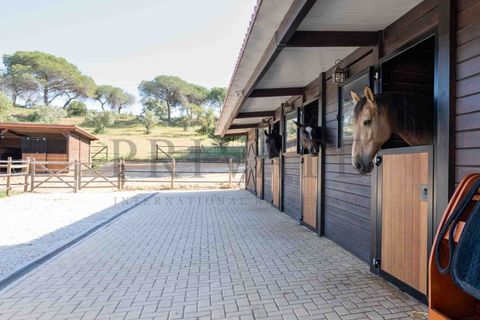 Villa i Almancil, Faro, Almancil - € 8.950.000 | Ref: CAS_850 - foto 23