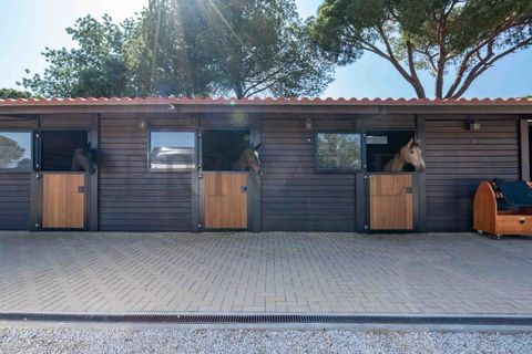 Villa i Almancil, Faro, Almancil - € 8.950.000 | Ref: CAS_850 - foto 41