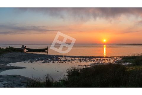 Lejlighed i Aveiro, Aveiro, Aveiro - € 220.000 | Ref: 4433 - foto 20