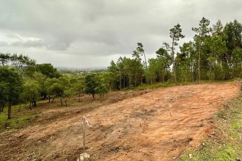 Helårsgrund i Ourem, Santarem, Ourem - € 68.500 | Ref: Terreno_1370 - foto 3