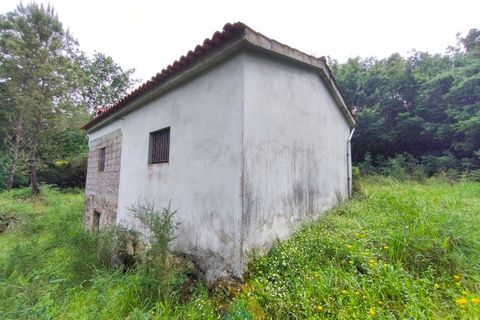 Villa i Arcos de Valdevez, Viana do Castelo, Arcos de Valdevez - € 65.000 | Ref: AVV-012-022 - foto 3