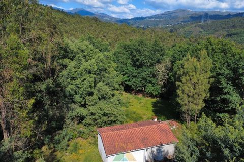 Villa i Arcos de Valdevez, Viana do Castelo, Arcos de Valdevez - € 65.000 | Ref: AVV-012-022 - foto 6