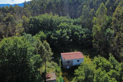 Villa i Arcos de Valdevez, Viana do Castelo, Arcos de Valdevez - € 65.000 | Ref: AVV-012-022 - foto 11