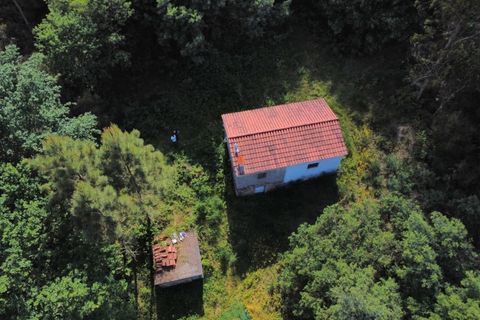 Villa i Arcos de Valdevez, Viana do Castelo, Arcos de Valdevez - € 65.000 | Ref: AVV-012-022 - foto 12