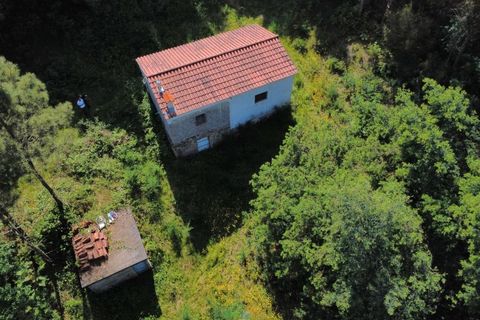 Villa i Arcos de Valdevez, Viana do Castelo, Arcos de Valdevez - € 65.000 | Ref: AVV-012-022 - foto 16