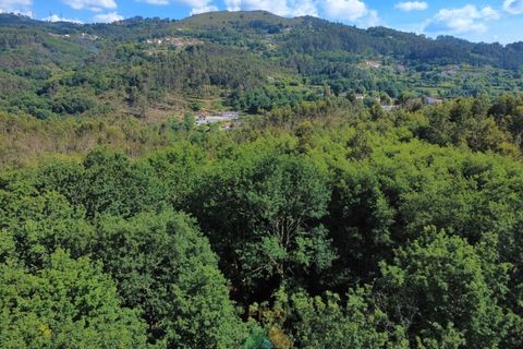 Villa i Arcos de Valdevez, Viana do Castelo, Arcos de Valdevez - € 65.000 | Ref: AVV-012-022 - foto 19