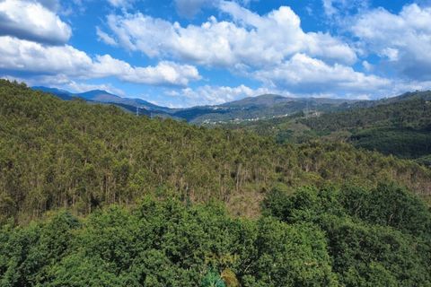 Villa i Arcos de Valdevez, Viana do Castelo, Arcos de Valdevez - € 65.000 | Ref: AVV-012-022 - foto 20