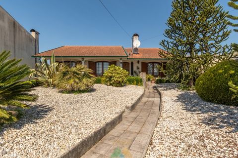 Villa i Aveiro, Aveiro, Aveiro - € 370.000 | Ref: AVV-007-019 - foto 42